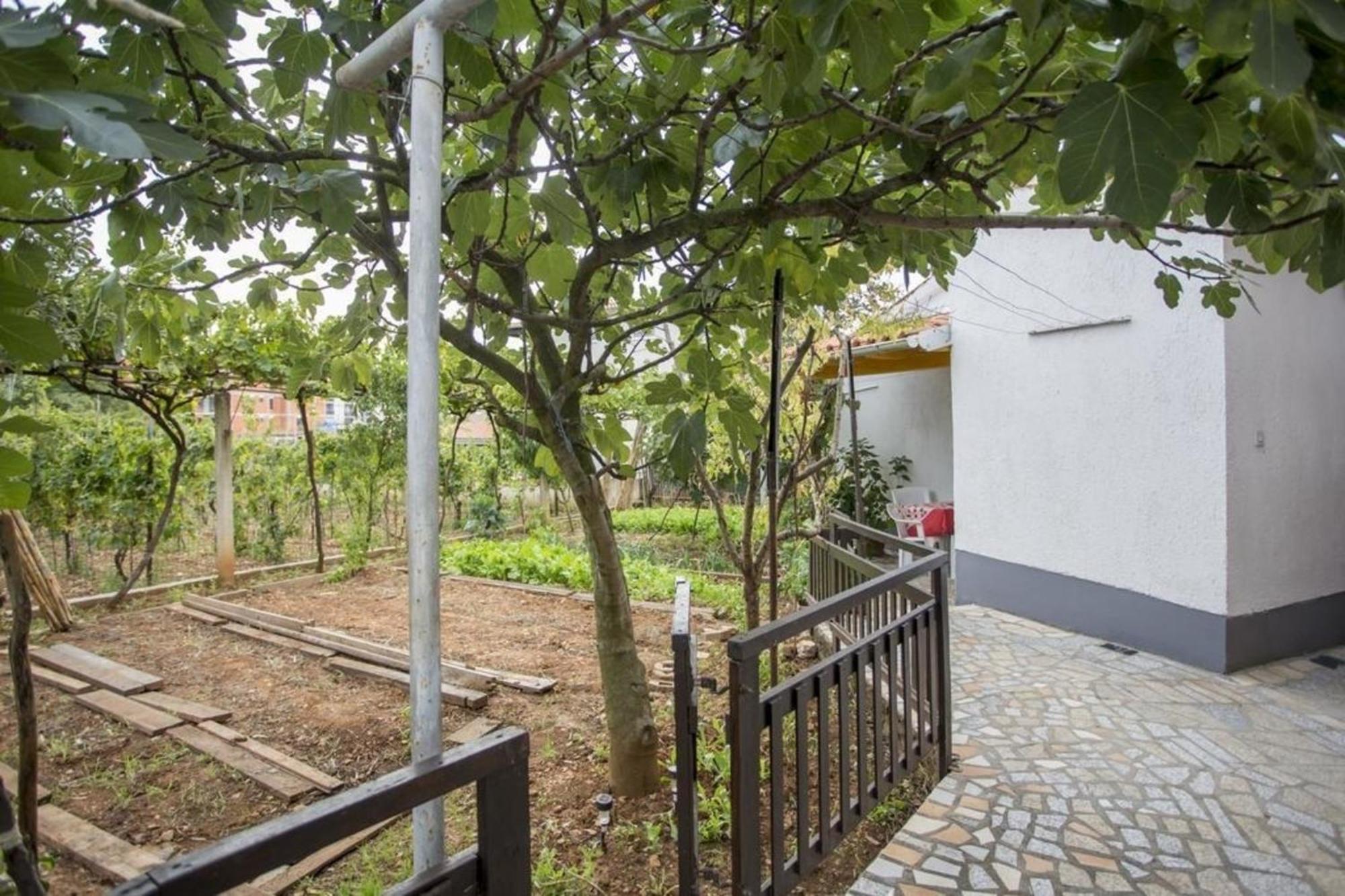 Apartman Fuer 4 Personen Ca 28 Qm In Pula, Istrien Istrische Riviera *